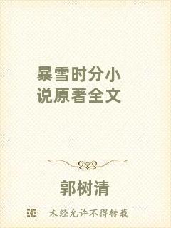 暴雪時(shí)分小說原著全文