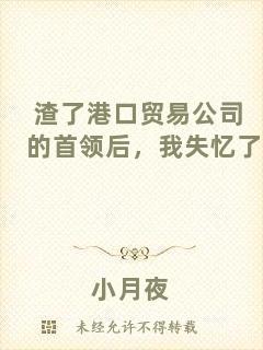 渣了港口貿(mào)易公司的首領(lǐng)后，我失憶了