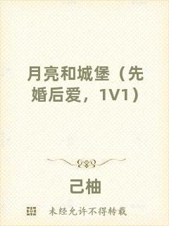 月亮和城堡（先婚后愛(ài)，1V1）