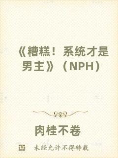 《糟糕！系統(tǒng)才是男主》（NPH）